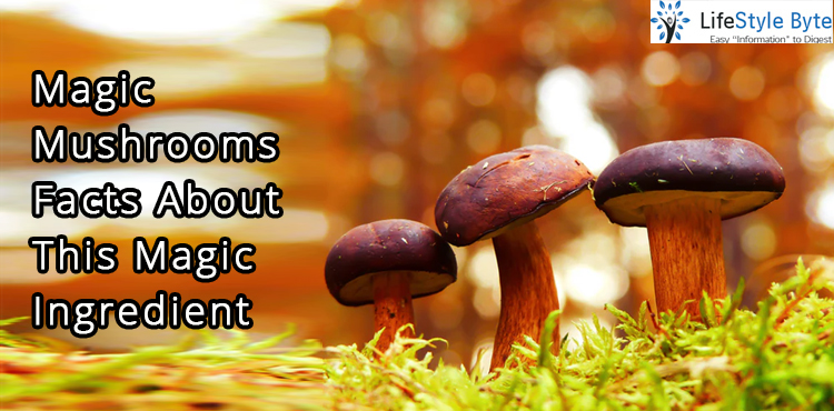 magic mushrooms – facts about this magic ingredient